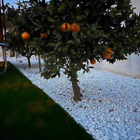 Calle Algarrobos Pool Σπίτι διακοπών Ciudad Quesada